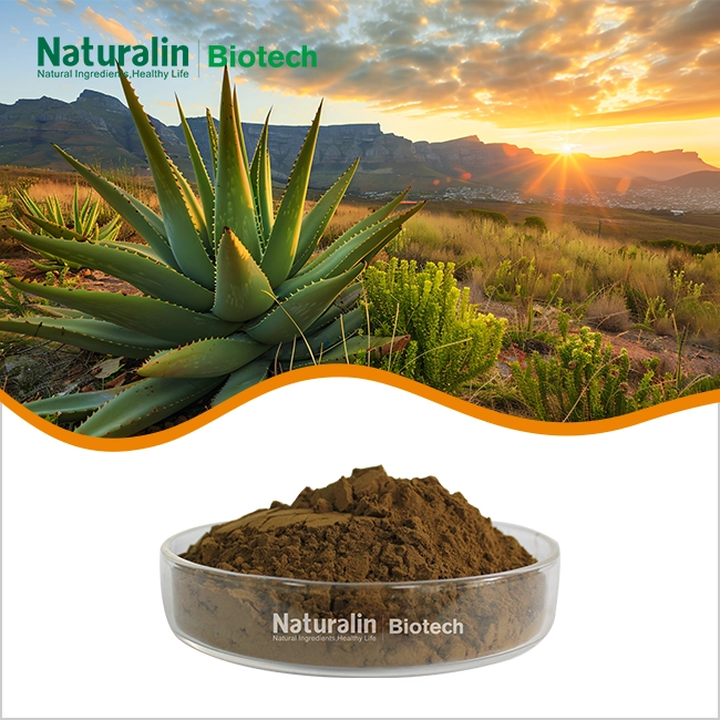 Aloe Reetha Extract Powder